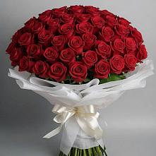Букет 101 Красная роза Блэк Мэджик в Тимирязева