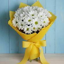 Букет цветов из:  Хризантемы в Тимирязева