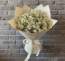 Букет цветов из:  Ромашки #REPLACE_PRED# Тимирязева