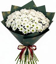 Букет цветов из:  Хризантемы в Тимирязева