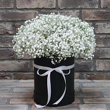 Цветочная композиция из Гипсофила в шляпной коробке в Тимирязева