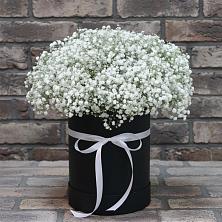 Цветочная композиция из Гипсофила в шляпной коробке в Тимирязева