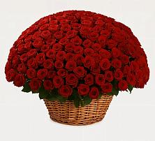 Премиум букет из: Розы в Тимирязева