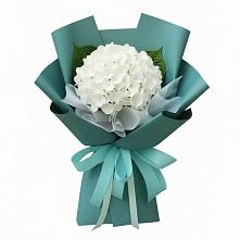 Букет цветов из:  Гортензия в Тимирязева